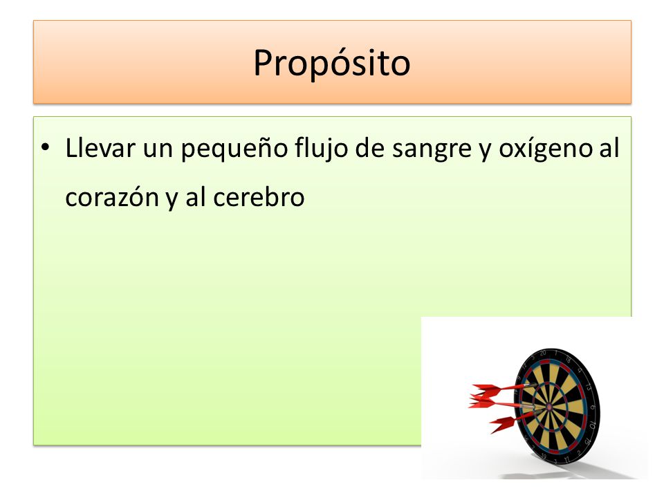 Propósito Llevar un pequeño flujo de sangre y oxígeno al corazón y al cerebro