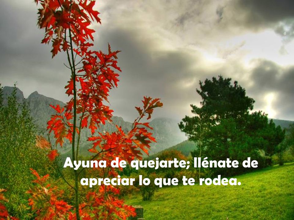 Ayuna de quejarte; llénate de apreciar lo que te rodea.