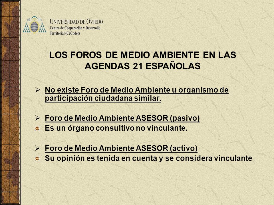 LOS FOROS DE MEDIO AMBIENTE EN LAS AGENDAS 21 ESPAÑOLAS