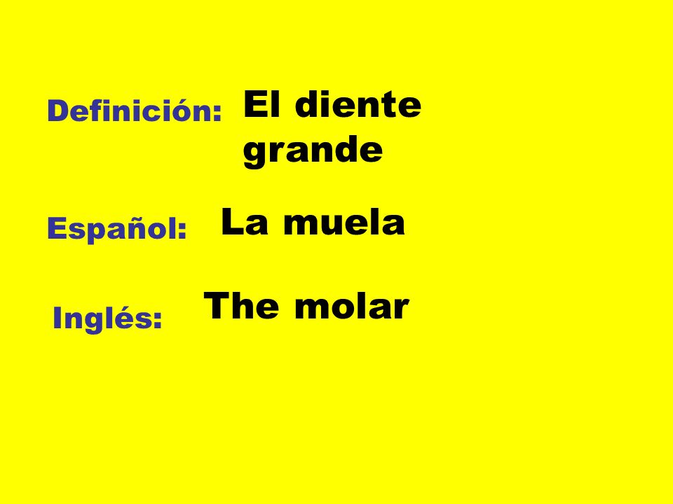 El diente grande Definición: La muela Español: The molar Inglés: