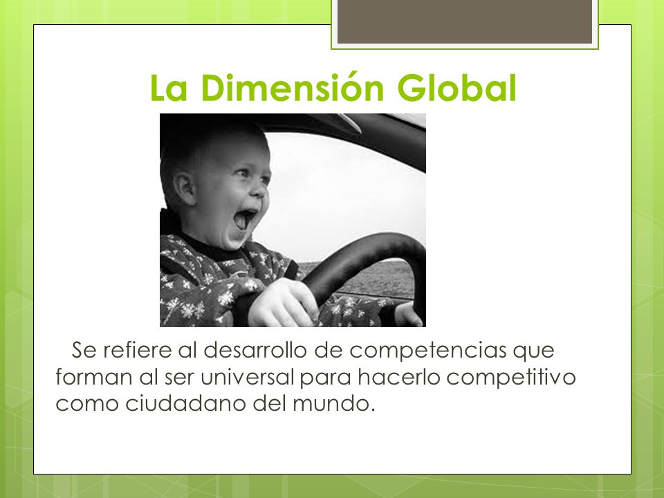 La Dimensión Global Se refiere al desarrollo de competencias que forman al ser universal para hacerlo competitivo como ciudadano del mundo.