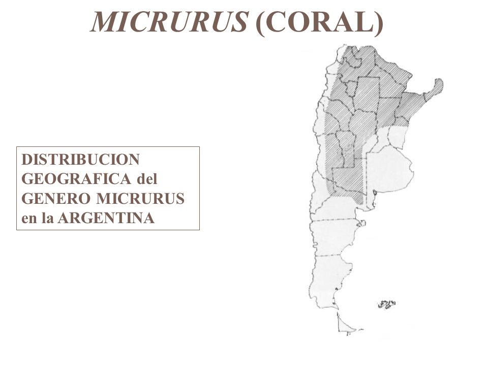 MICRURUS (CORAL) DISTRIBUCION GEOGRAFICA del GENERO MICRURUS en la ARGENTINA