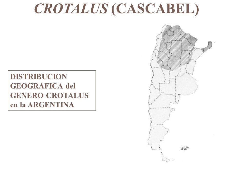 CROTALUS (CASCABEL) DISTRIBUCION GEOGRAFICA del GENERO CROTALUS en la ARGENTINA