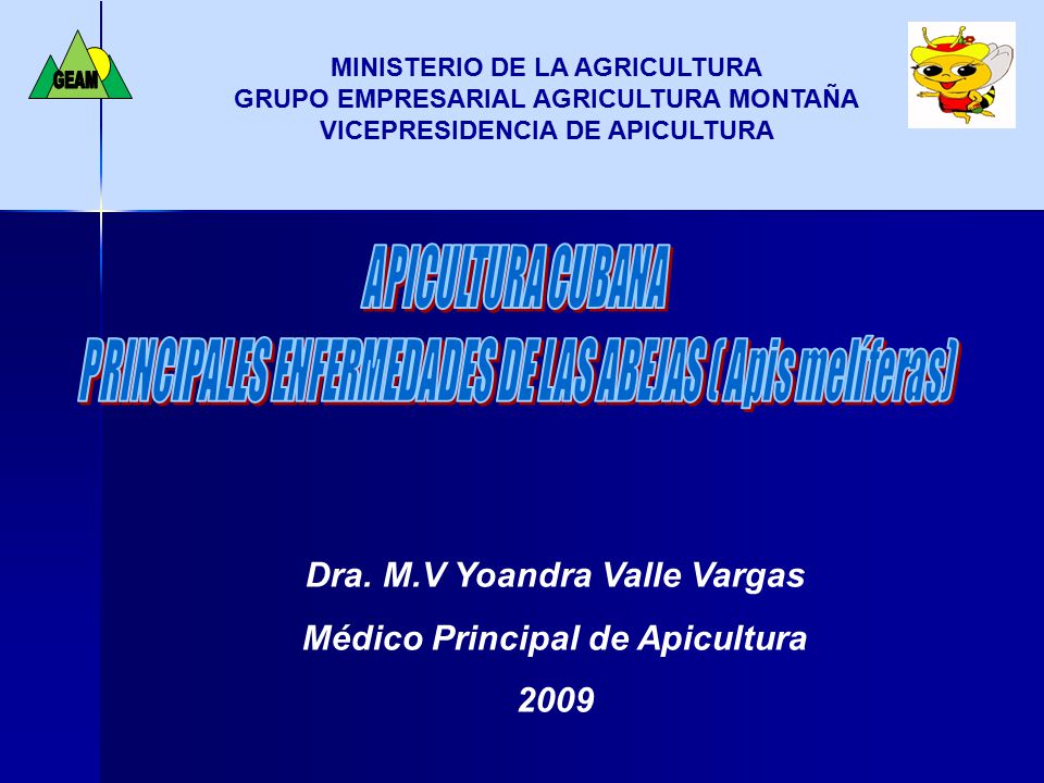 Dra. M.V Yoandra Valle Vargas Médico Principal de Apicultura 2009