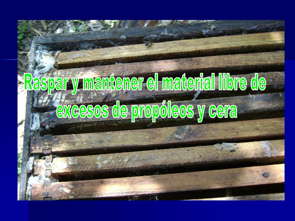 Raspar y mantener el material libre de excesos de propóleos y cera