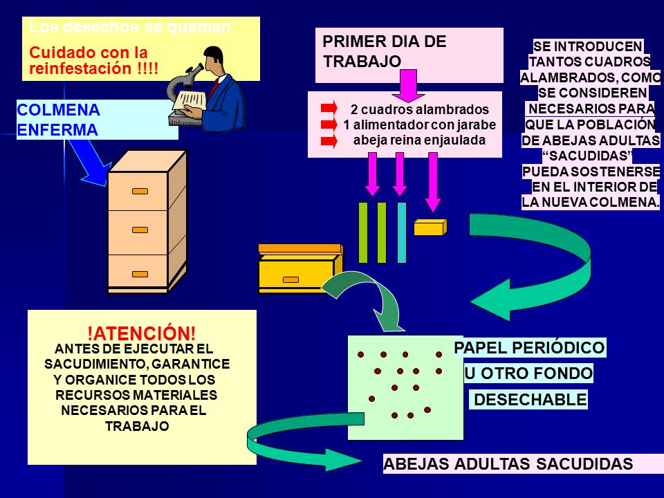 !ATENCIÓN! Los desechos se queman Cuidado con la reinfestación !!!!
