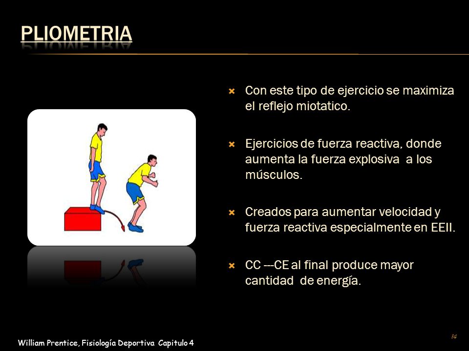 Pliometria Con este tipo de ejercicio se maximiza el reflejo miotatico.