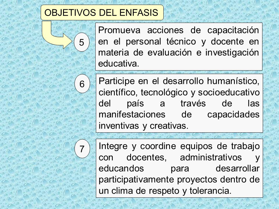 OBJETIVOS DEL ENFASIS Promueva acciones de capacitación en el personal técnico y docente en materia de evaluación e investigación educativa.
