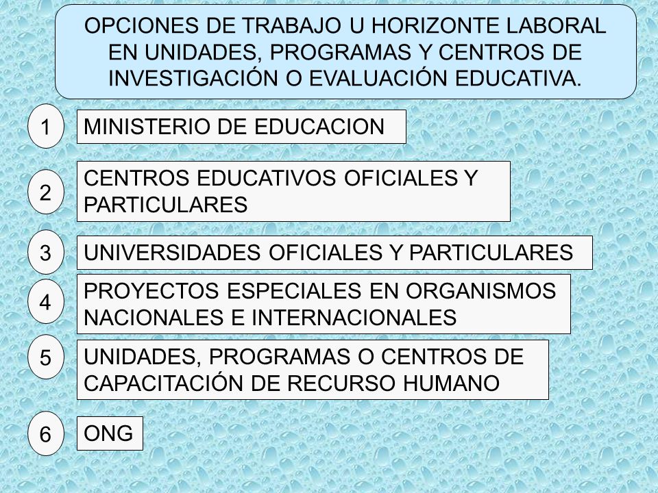 OPCIONES DE TRABAJO U HORIZONTE LABORAL EN UNIDADES, PROGRAMAS Y CENTROS DE INVESTIGACIÓN O EVALUACIÓN EDUCATIVA.
