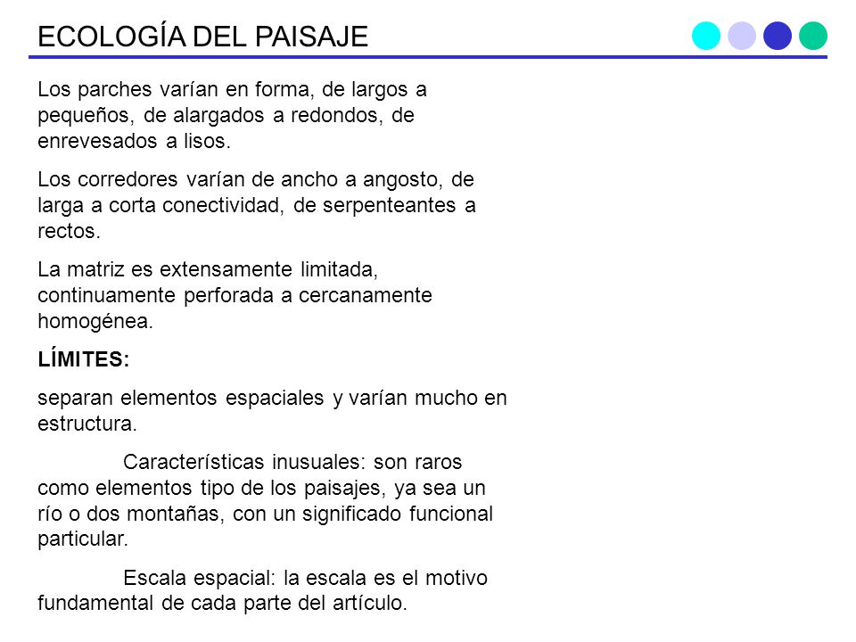 ECOLOGÍA DEL PAISAJE Los parches varían en forma, de largos a pequeños, de alargados a redondos, de enrevesados a lisos.