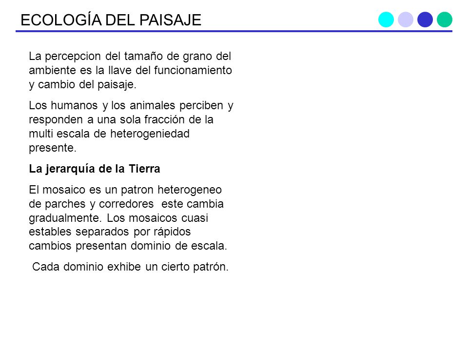 ECOLOGÍA DEL PAISAJE La percepcion del tamaño de grano del ambiente es la llave del funcionamiento y cambio del paisaje.