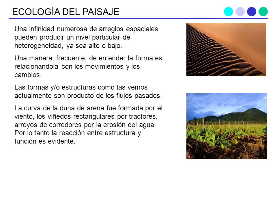 ECOLOGÍA DEL PAISAJE Una infinidad numerosa de arreglos espaciales pueden producir un nivel particular de heterogeneidad, ya sea alto o bajo.
