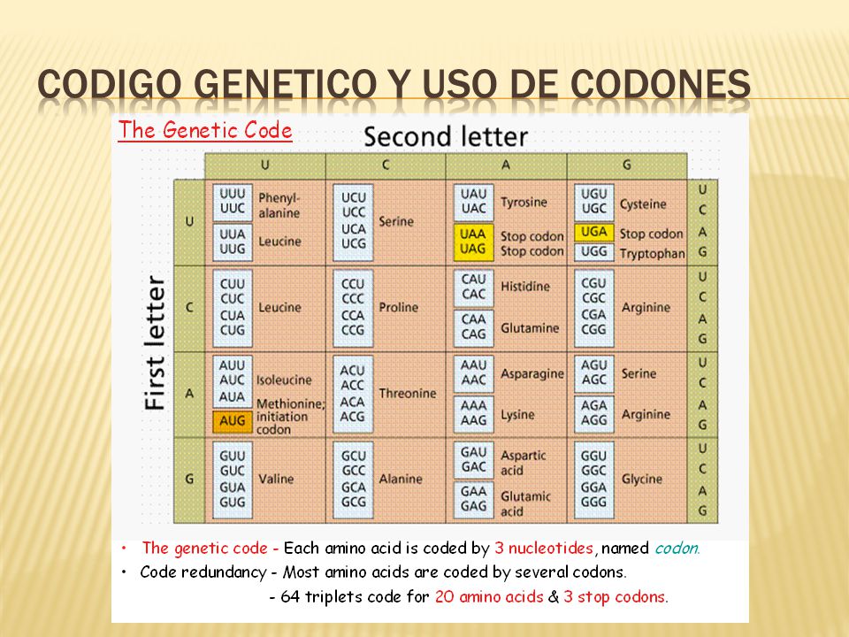 Codigo genetico y uso de codones