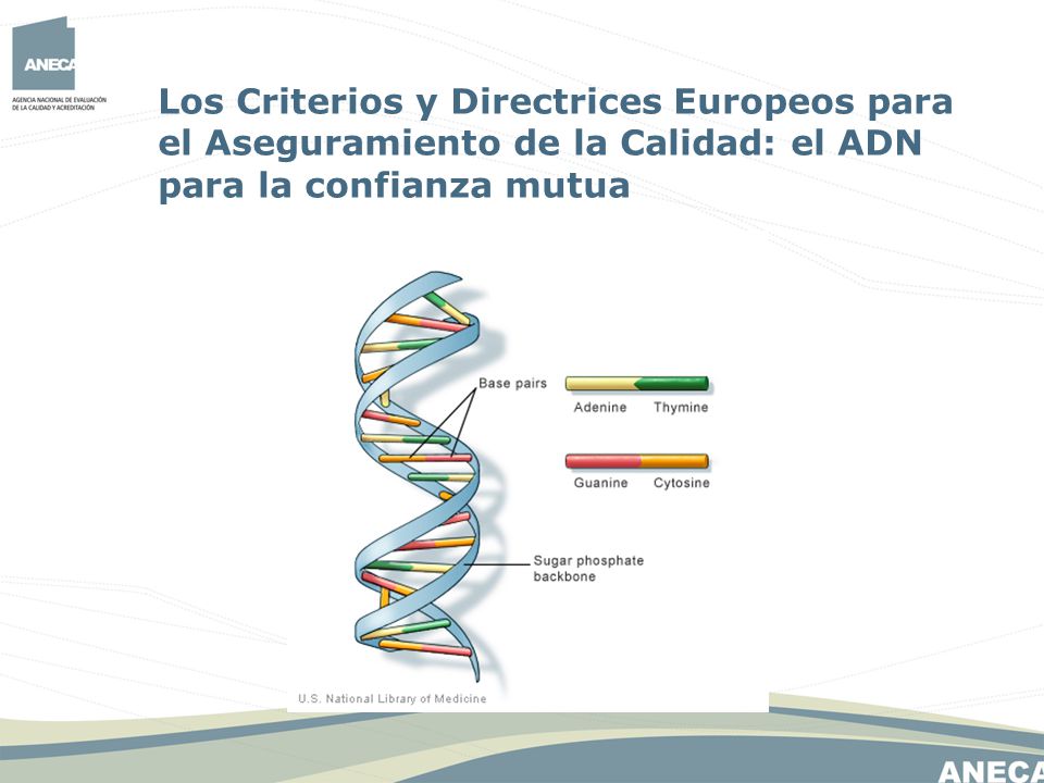 Los Criterios y Directrices Europeos para el Aseguramiento de la Calidad: el ADN para la confianza mutua