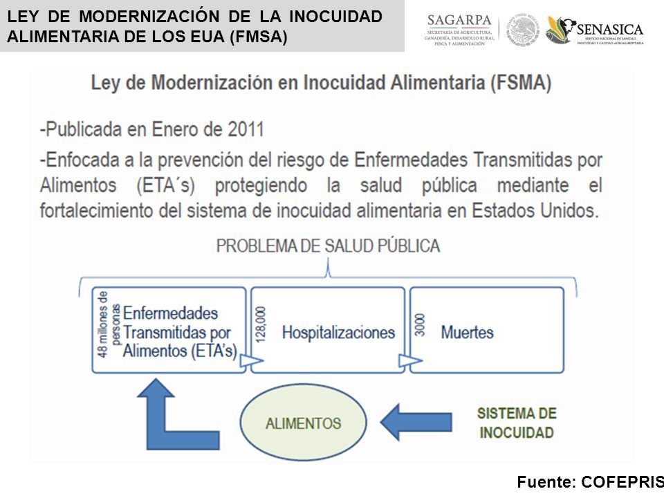 LEY DE MODERNIZACIÓN DE LA INOCUIDAD ALIMENTARIA DE LOS EUA (FMSA)