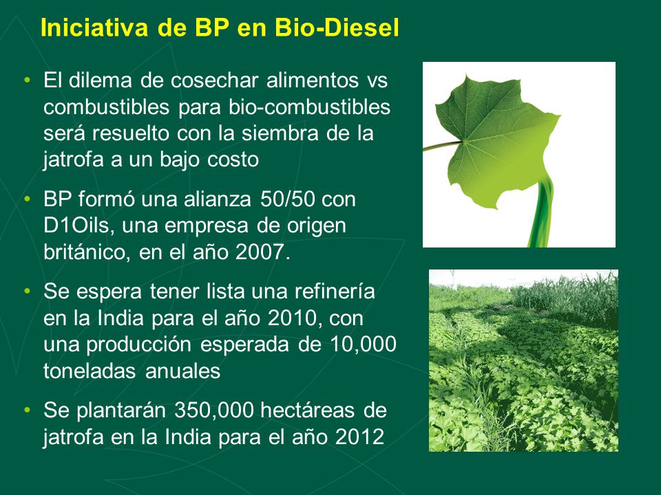 Iniciativa de BP en Bio-Diesel