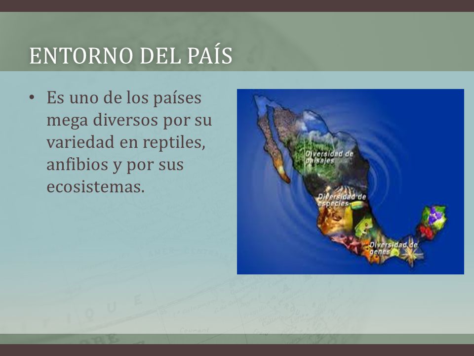 Entorno del país Es uno de los países mega diversos por su variedad en reptiles, anfibios y por sus ecosistemas.