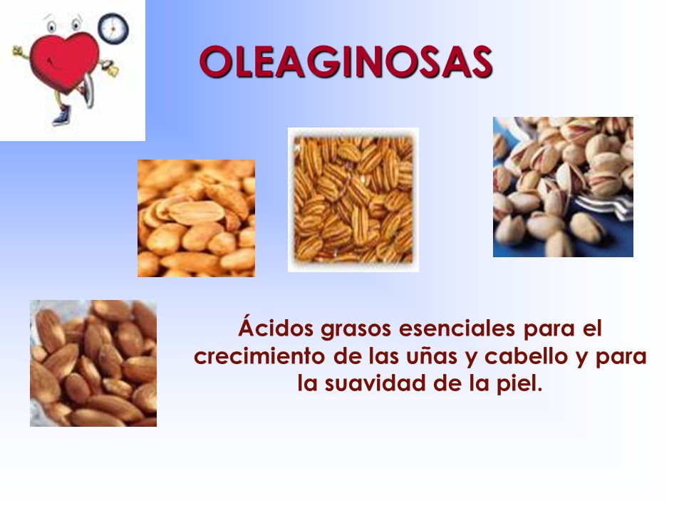 OLEAGINOSAS Ácidos grasos esenciales para el crecimiento de las uñas y cabello y para la suavidad de la piel.