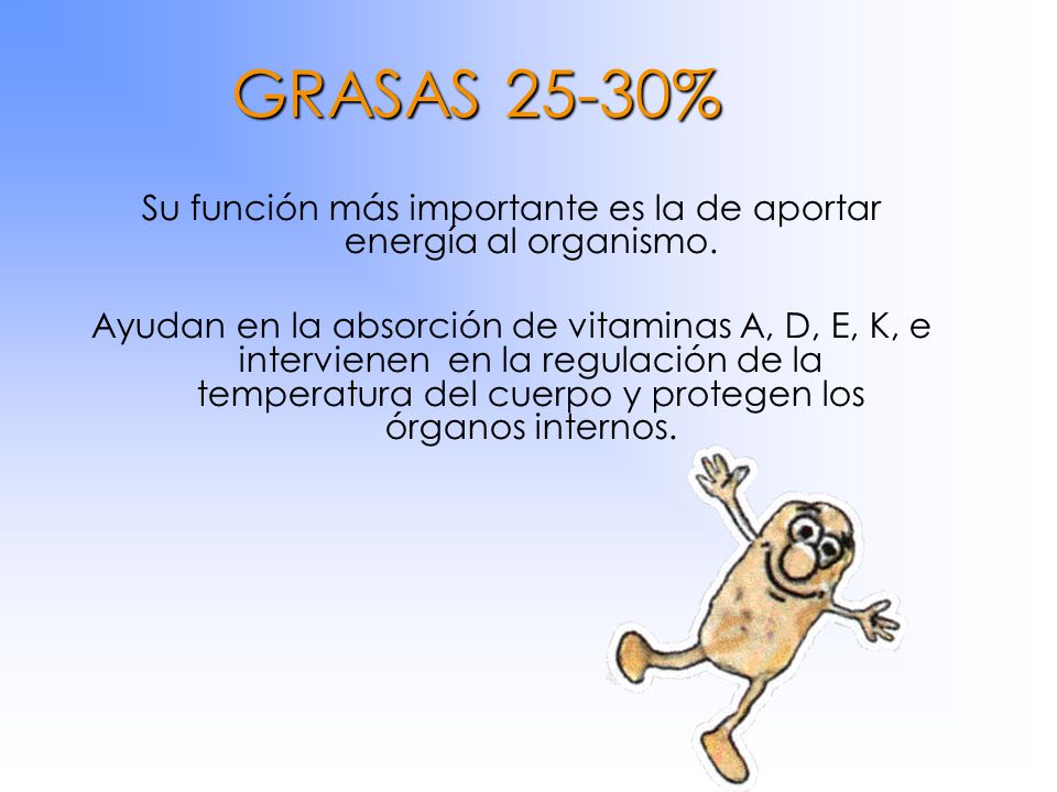Su función más importante es la de aportar energía al organismo.