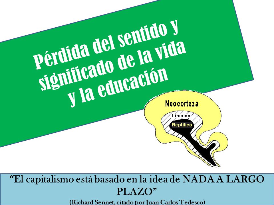 Pérdida del sentido y significado de la vida y la educación