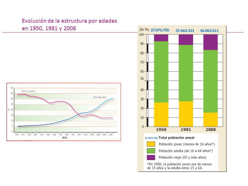 Evolución de la estructura por edades en 1950, 1981 y 2008