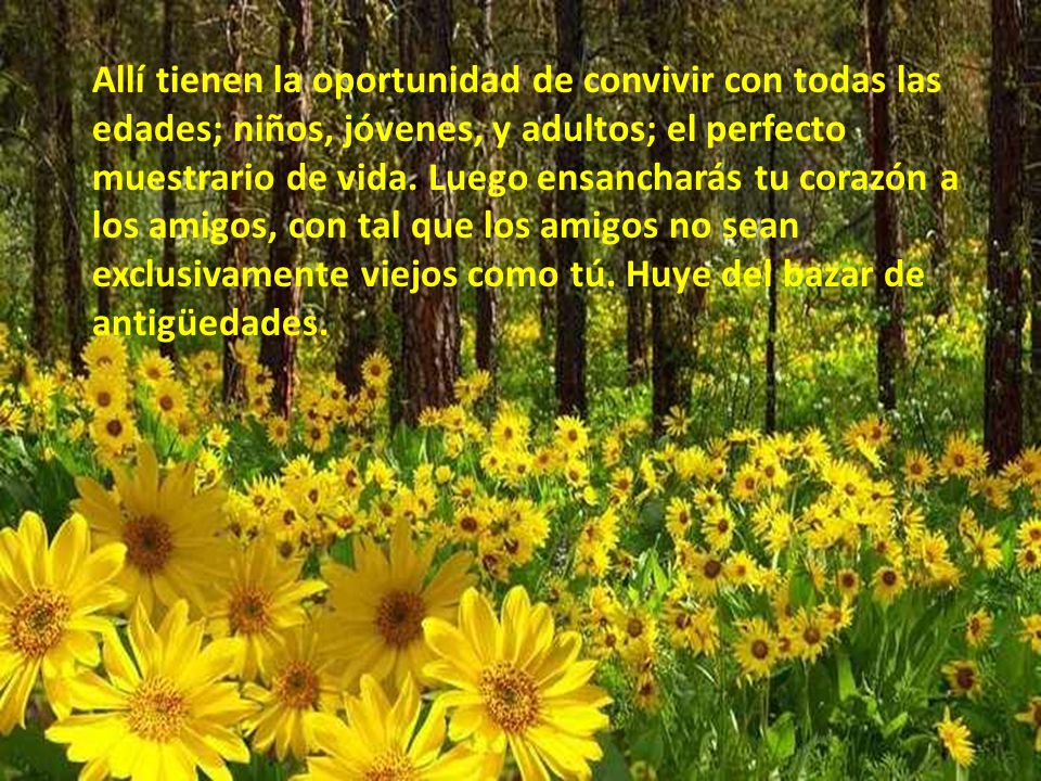 Allí tienen la oportunidad de convivir con todas las edades; niños, jóvenes, y adultos; el perfecto muestrario de vida.