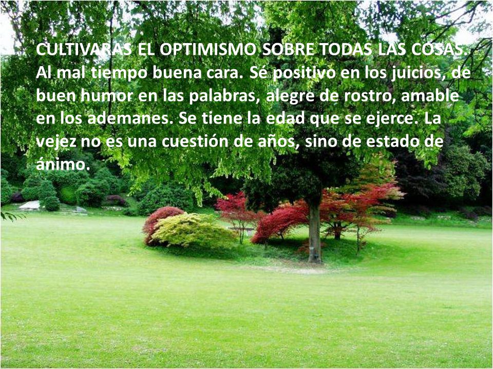 CULTIVARAS EL OPTIMISMO SOBRE TODAS LAS COSAS. Al mal tiempo buena cara.