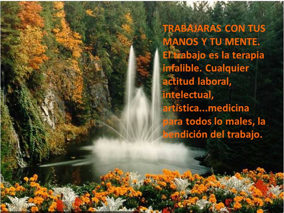 TRABAJARAS CON TUS MANOS Y TU MENTE. El trabajo es la terapia infalible.