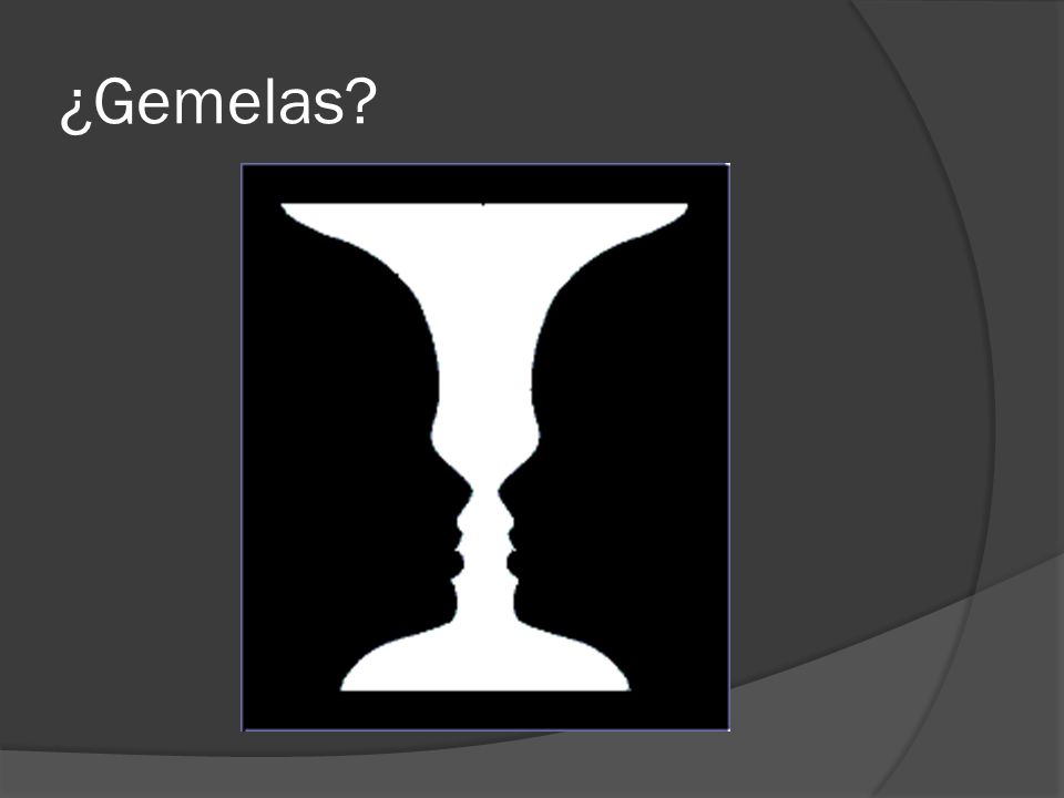 ¿Gemelas