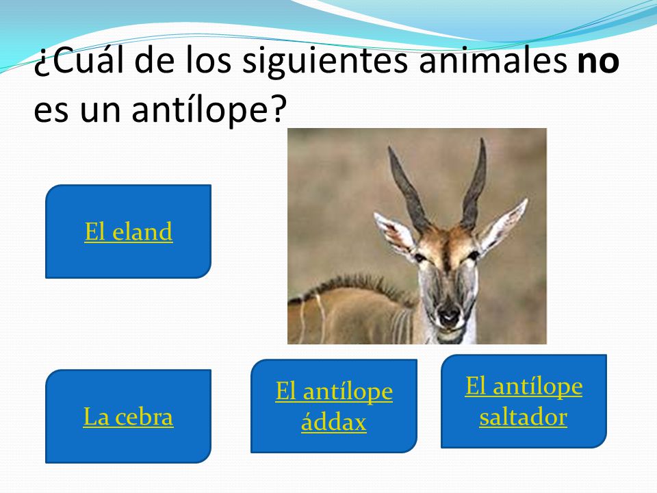 ¿Cuál de los siguientes animales no es un antílope