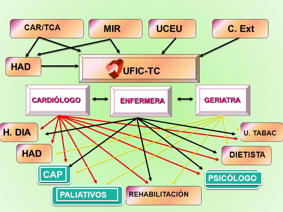 MIR UCEU C. Ext UFIC-TC HAD H. DIA HAD CAP CAR/TCA DIETISTA PSICÓLOGO
