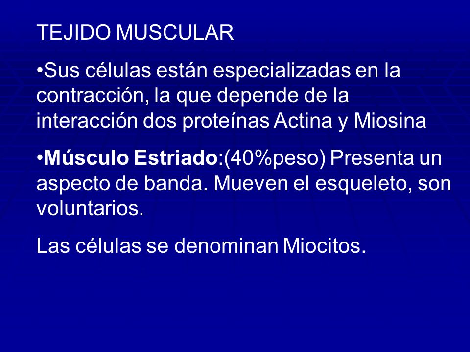 TEJIDO MUSCULAR Sus células están especializadas en la contracción, la que depende de la interacción dos proteínas Actina y Miosina.