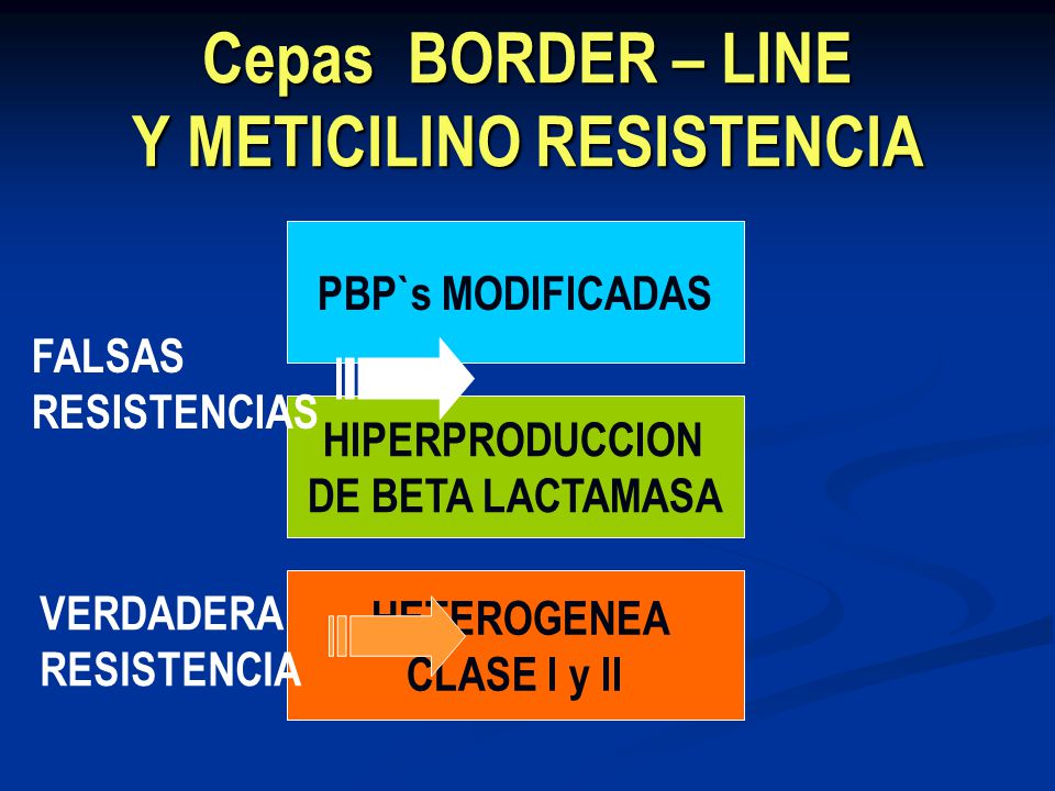 Cepas BORDER – LINE Y METICILINO RESISTENCIA