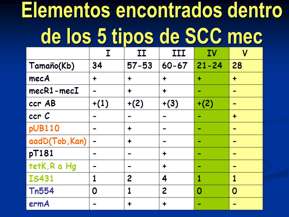 Elementos encontrados dentro de los 5 tipos de SCC mec