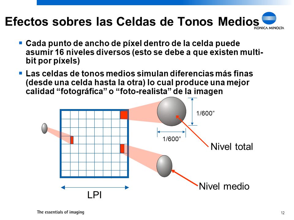 Efectos sobres las Celdas de Tonos Medios