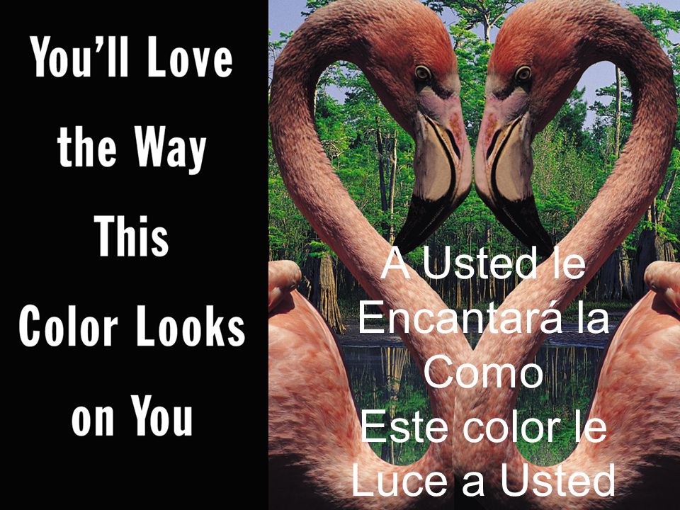 A Usted le Encantará la Como Este color le Luce a Usted