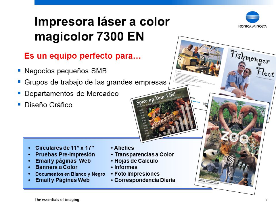 Impresora láser a color magicolor 7300 EN