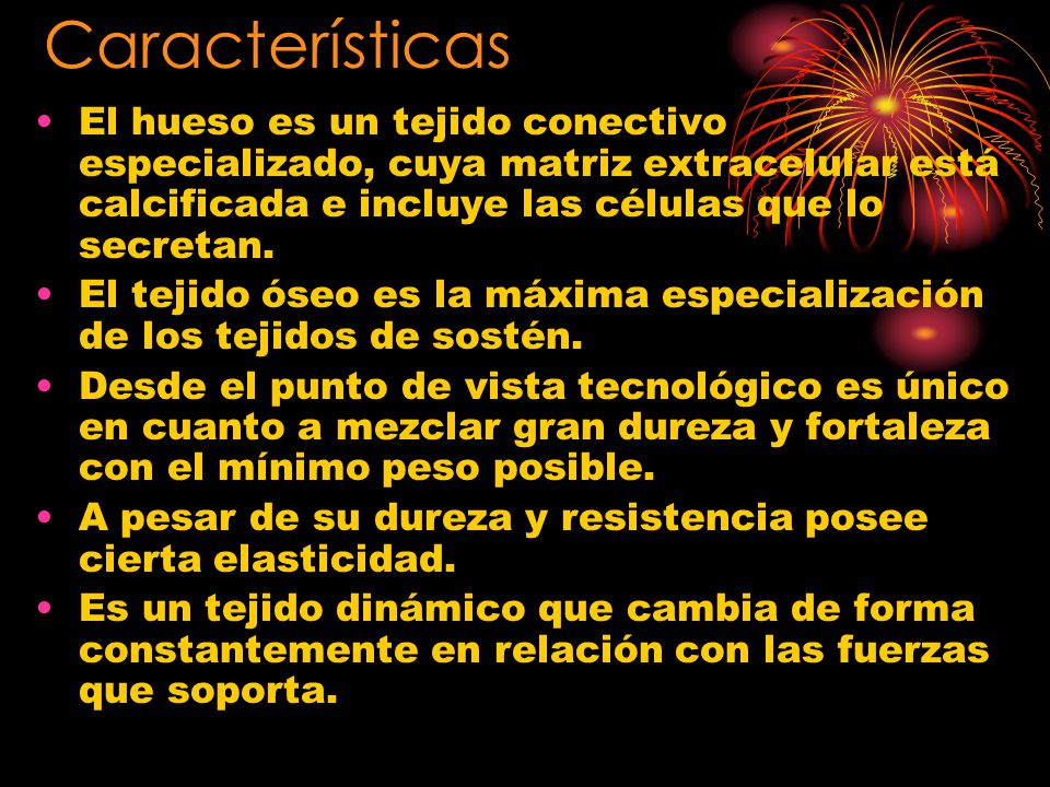 Características El hueso es un tejido conectivo especializado, cuya matriz extracelular está calcificada e incluye las células que lo secretan.