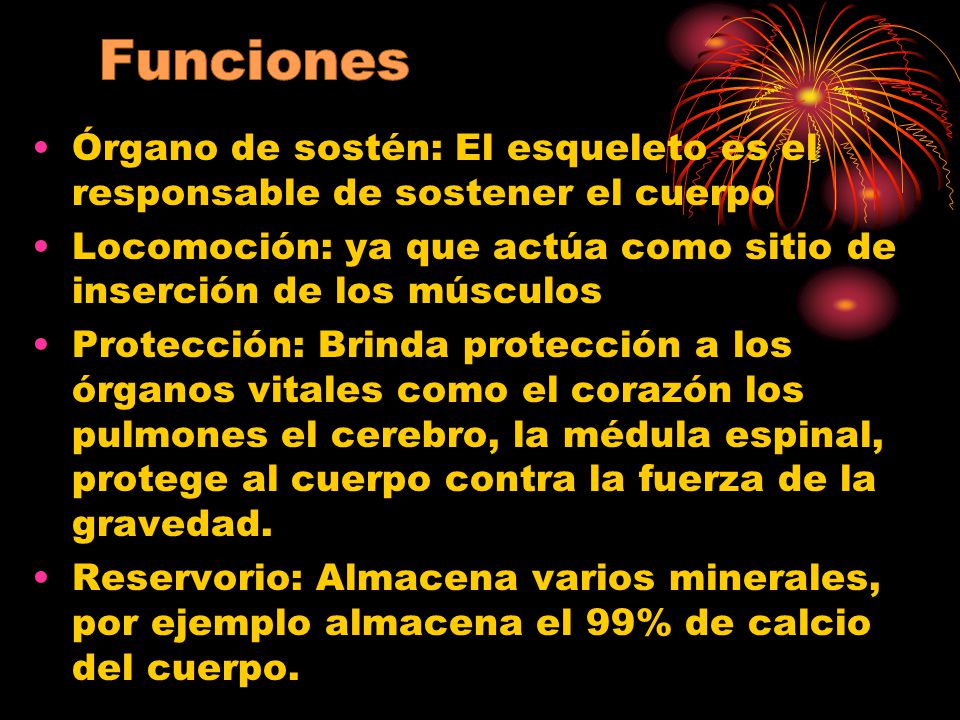 Funciones Órgano de sostén: El esqueleto es el responsable de sostener el cuerpo. Locomoción: ya que actúa como sitio de inserción de los músculos.