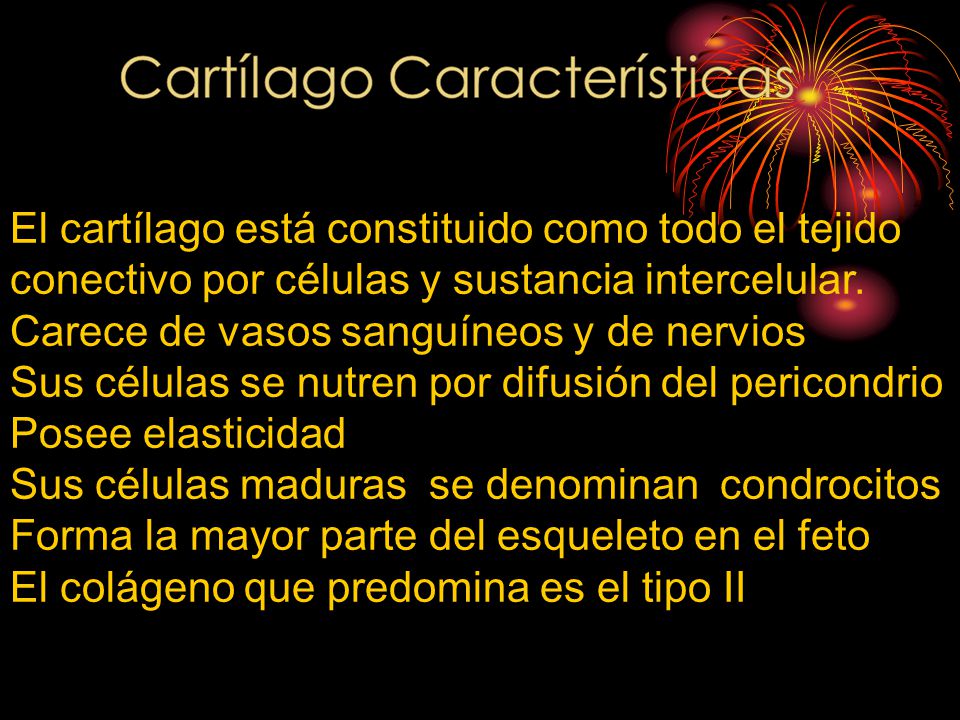 El cartílago está constituido como todo el tejido conectivo por células y sustancia intercelular.