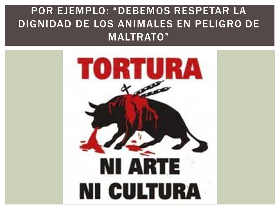 POR EJEMPLO: debemos respetar la dignidad de los animales en peligro de maltrato