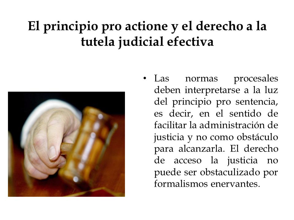 El principio pro actione y el derecho a la tutela judicial efectiva