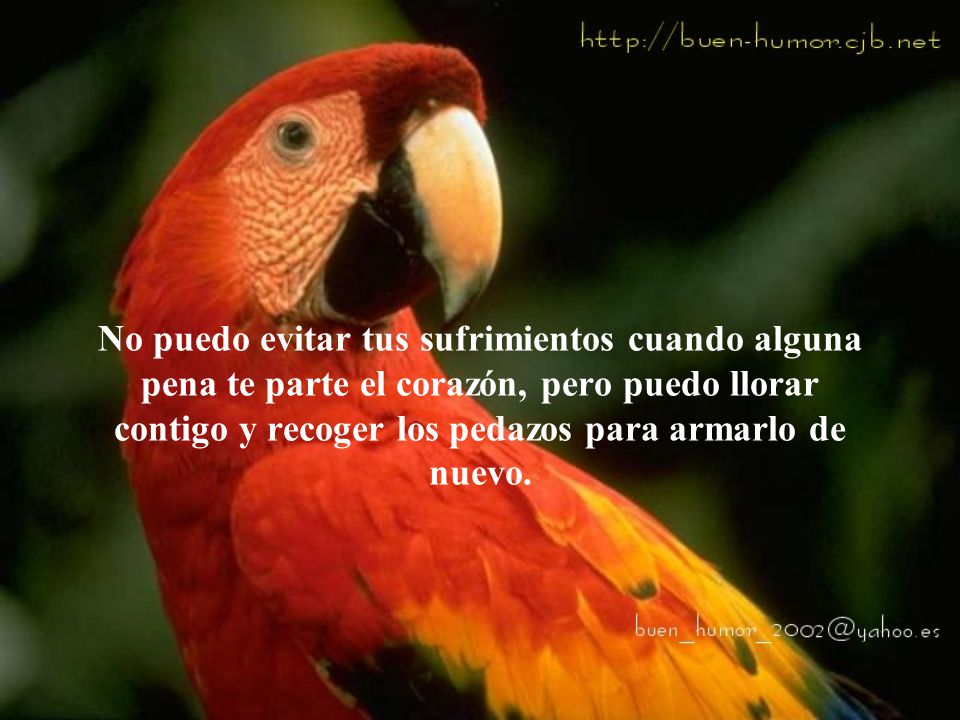 No puedo evitar tus sufrimientos cuando alguna pena te parte el corazón, pero puedo llorar contigo y recoger los pedazos para armarlo de nuevo.