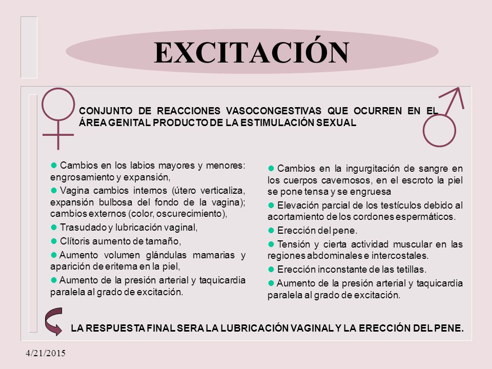 EXCITACIÓN ♂ ♀ CONJUNTO DE REACCIONES VASOCONGESTIVAS QUE OCURREN EN EL ÁREA GENITAL PRODUCTO DE LA ESTIMULACIÓN SEXUAL.