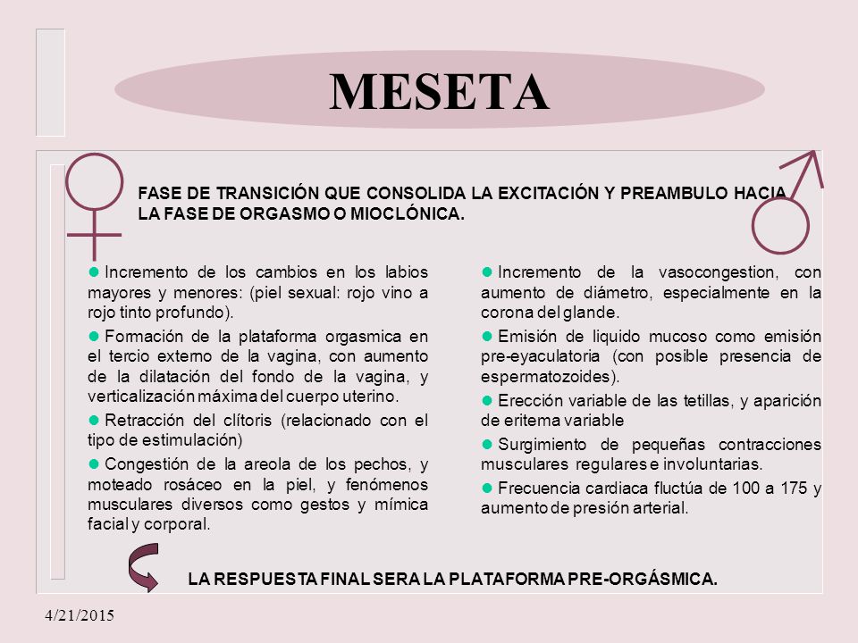 MESETA ♂ ♀ FASE DE TRANSICIÓN QUE CONSOLIDA LA EXCITACIÓN Y PREAMBULO HACIA LA FASE DE ORGASMO O MIOCLÓNICA.