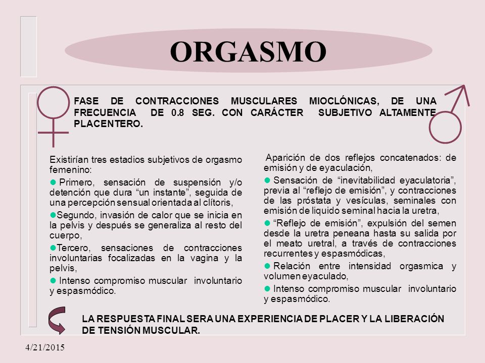 ORGASMO ♂ ♀ FASE DE CONTRACCIONES MUSCULARES MIOCLÓNICAS, DE UNA FRECUENCIA DE 0.8 SEG. CON CARÁCTER SUBJETIVO ALTAMENTE PLACENTERO.