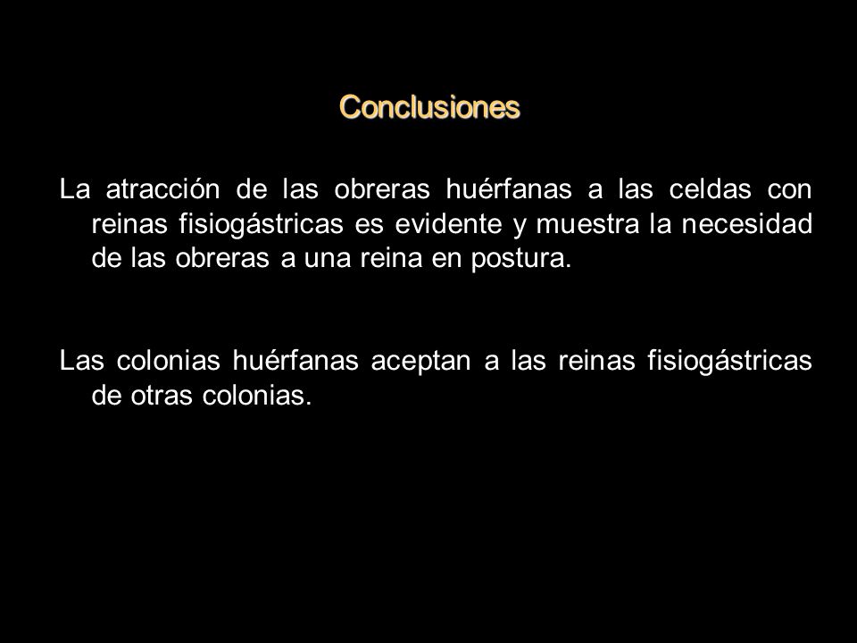 Conclusiones