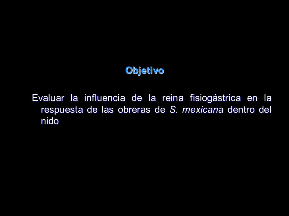 Objetivo Evaluar la influencia de la reina fisiogástrica en la respuesta de las obreras de S.