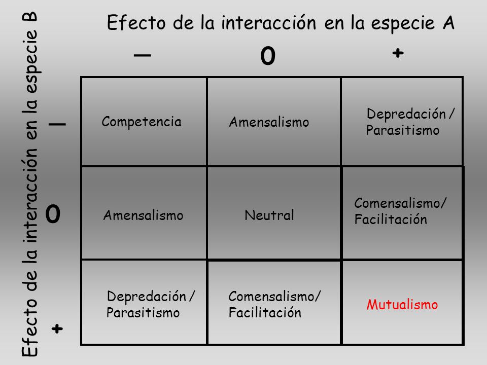_ + _ + Efecto de la interacción en la especie A