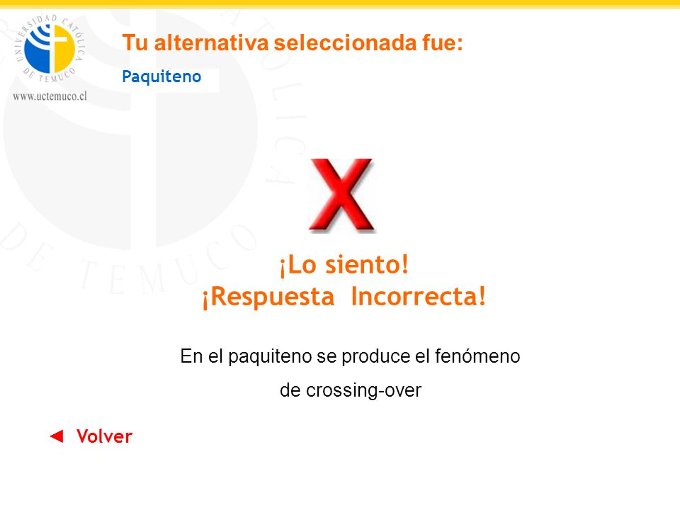 ¡Respuesta Incorrecta!